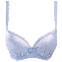 安莉芳女士小胸厚杯上托聚拢文胸性感蕾丝舒适内衣EB1241