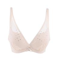 【芬狄诗】无钢圈中模杯内衣女亮片蕾丝文胸 FBW0022