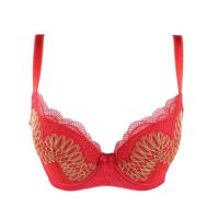 安莉芳集团E-BRA女士内衣薄模杯刺绣聚拢调整型性感文胸KB0762