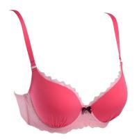 安莉芳集团芬狄诗厚杯内衣女性感蕾丝文胸 FBW0019