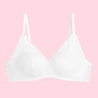 安莉芳集团女士性感蕾丝五角杯上拖小胸聚拢无钢圈内衣文胸