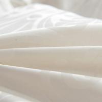 维科家纺 羽绒被白鹅绒被子加厚保暖冬被酒店单双人冬天被芯