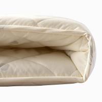 维科加厚羊毛床垫单人海绵褥子垫被1.5m学生宿舍1.8米床榻榻米垫