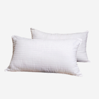 钱皇单人双人枕芯颈椎枕头5%桑蚕丝枕芯全棉 健康舒适睡眠枕