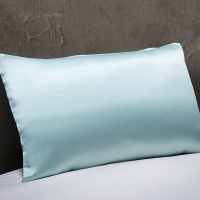 钱皇100%桑蚕丝枕套 双面真丝单人枕套 床上用品丝绸枕头套 单只装50*76cm