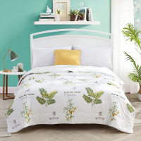 钱皇100%桑蚕丝被 夏凉空调被 春秋四季通用子母被 儿童被子被芯绗缝被