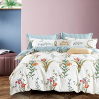 钱皇床上用品被子四件套 纯棉印花被单套件 全棉春夏被套ins风