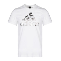 ADIDAS(阿迪)2019BOS FOIL CAMO春季男子短袖T恤DI0302