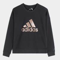 Adidas 阿迪达斯女子CREW SWT BOS卫衣EA3105
