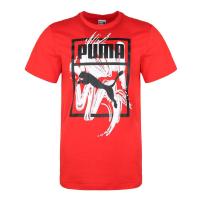 Puma 彪马男子Graphic Box Brush Tee短袖2PU57941111