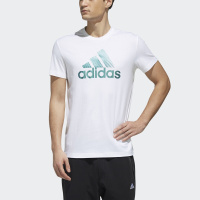 Adidas 阿迪达斯男子AI SS GFX SHINE短袖FJ6868