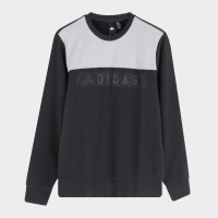 Adidas 阿迪达斯男子EI GFX CS CB卫衣DM5231