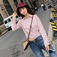 2018秋装新款休闲衬衣女学生短款长袖百搭衬衫女