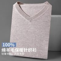 ENK【100%绵羊毛】男士秋冬保暖针织衫V领长袖商务男式羊毛衫男