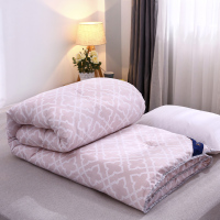 吉岳Giyou保暖冬被 整张羽丝绵填充 立体剪裁细密走线 不易跑棉不易结板 磨绒流苏边保暖冬被被芯