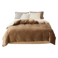 九氏JoeshA版牛奶绒面料B版贝贝绒面料可拆洗冬被 被套 被芯多种组合套装柔软顺滑手感舒适