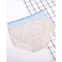 2条装女款蕾丝花边印花中腰性感情趣三角女士内裤