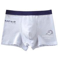 彼尔丹青少年内裤男学生纯棉平角裤高中生四角裤