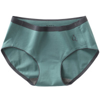 女士纯色三角裤女生无痕纯棉内裤女中腰时尚清新性感甜美舒适柔软