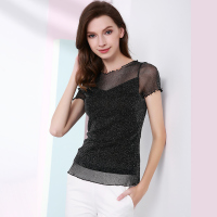 晚白 2018秋季新款优雅修身弹性纯色纱网亮丝上衣T恤衫女