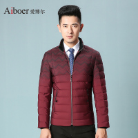 爱博尔羽绒服短款简约轻薄立领休闲秋羽绒男羽绒服A1691_1
