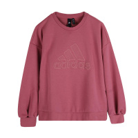 Adidas阿迪达斯女装针织运动休闲套头衫卫衣 DT2358