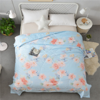 惟丽尚品 天丝夏被 单双人夏被 夏凉被 空调被 被子 200*230 多色可选 包邮