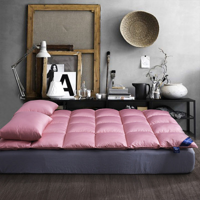 南极人(NanJiren)家纺 加厚保暖安塞丝3D立衬杜邦纤维床垫可折叠榻榻米床垫 床上用品纯色垫被铺垫床褥子