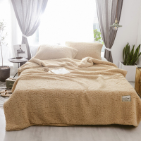 南极人(NanJiren)家纺 多功能羊羔绒三件套保暖羊羔绒毛毯简约纯色被套三件套 床上用品被套加一对枕套绗缝其他