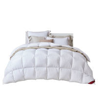 梦洁家纺美颂出品90%羽绒被尊绒欧洲白鸭绒厚被保暖加厚被芯冬被