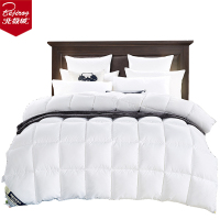 北极绒 被子防羽被加厚保暖春秋被芯太空调被学生宿舍单双人加大冬天被