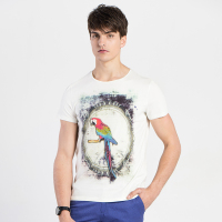 奔狼swsport男士时尚百搭圆领短T恤（浅灰）