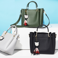 塞飞洛2018夏天新款ins个性女包单肩包流苏手提chiic斜挎包
