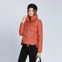 简约时尚立领短款棉衣