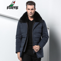 FORTEI富铤羽绒服立领休闲男式冬装舒适外套新款