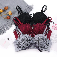 迪奥 女士内衣立体蕾丝时尚深V浪漫聚拢舒适时尚性感女士文胸