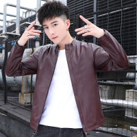 AEMAPE苹果 男士秋季皮衣潮流酷飒休闲时尚有型男士立领皮衣夹克