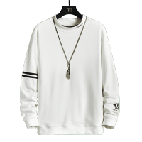 AEMAPE苹果 秋季卫衣潮牌德绒半高领时尚刺绣卫衣百搭舒适