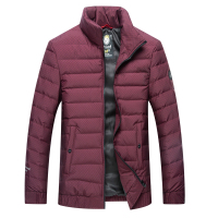 CARTELO 羽绒服男士冬季休闲百搭立领保暖舒适商务外套男上衣