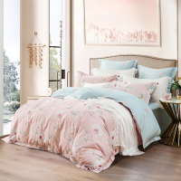 雅兰家纺四件套全棉纯棉磨毛秋冬加厚床单床笠被套床上用品