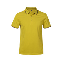 法国HLITOR正品夏季透气翻领立领短袖男装T恤