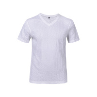 法国HLITOR正品夏季透气V领短袖纯棉男装T恤