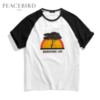 太平鸟男装夏季男士短袖T恤胶印潮男士韩版宽松衣服