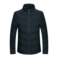 TUCAN0/啄木鸟冬季新款男士羽绒服短款纯色商务休闲简约立领棉衣中青年棉袄外套