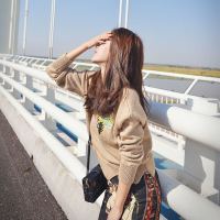 毛衣女2018秋装新款韩版刺绣宽松套头针织衫打底毛衣外套短款女