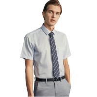 红豆旗下高端品牌轩帝尼(HETINNE)男装2019春夏新款轻奢商务DP免烫小方领正装短袖男式衬衫