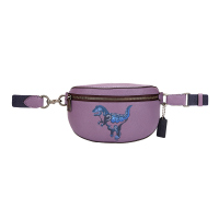 COACH 蔻驰 奢侈品 女士专柜款紫色皮革单肩斜挎包腰包 73940 V5O6T