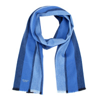 COACH 蔻驰 奢侈品 男士蓝色竖条纹羊毛材质长款围巾 F76059 MID