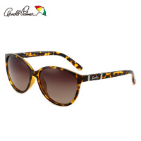 美国花雨伞 女款时尚潮个性防紫外线偏光驾驶镜遮阳眼镜AP11646