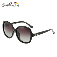 花雨伞正品太阳镜女偏光眼镜时尚潮圆框防紫外线复古墨镜AP.11652